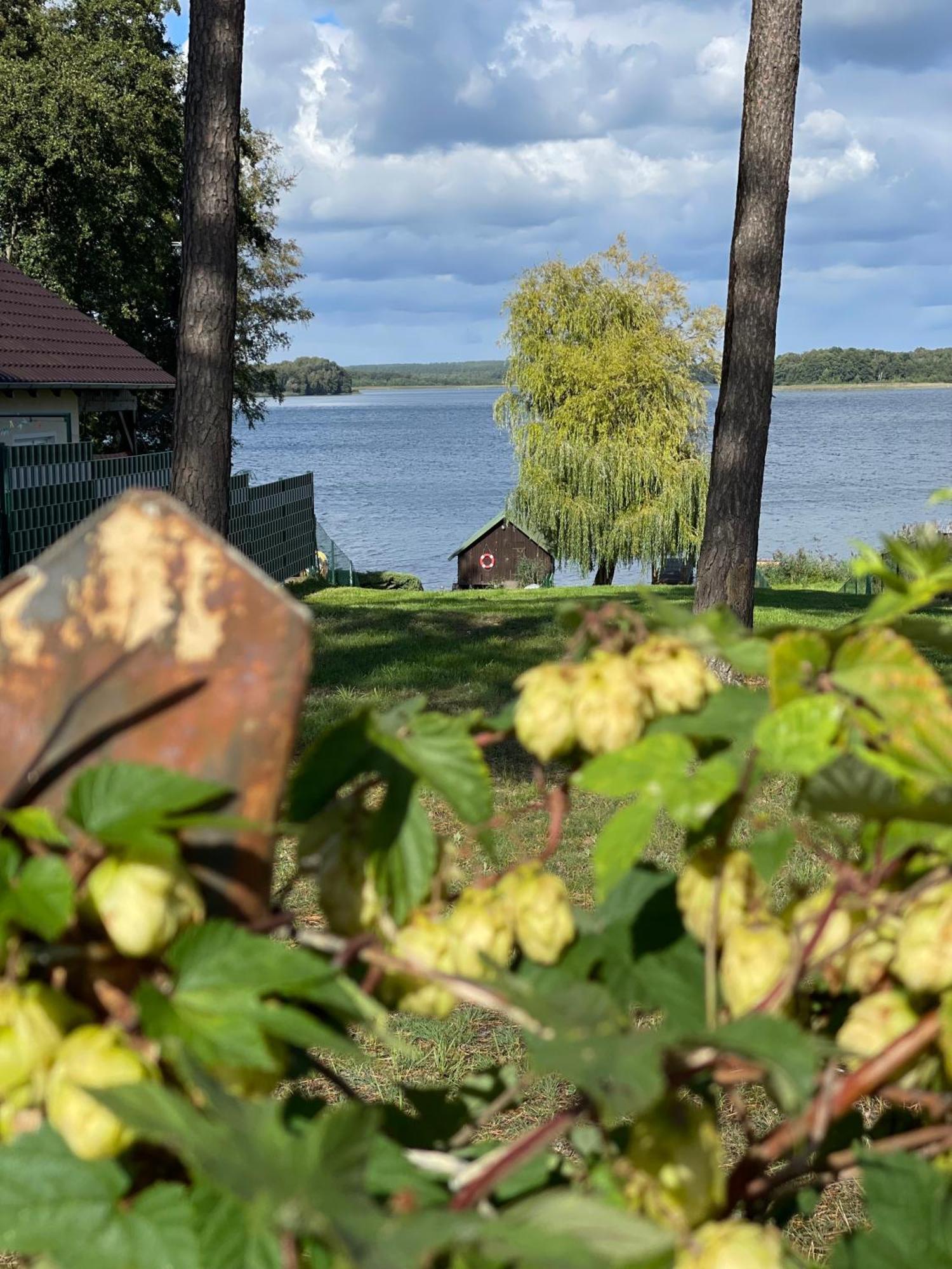 Urlaub Am Plaetlinsee - Haus Odin Wustrow  Esterno foto