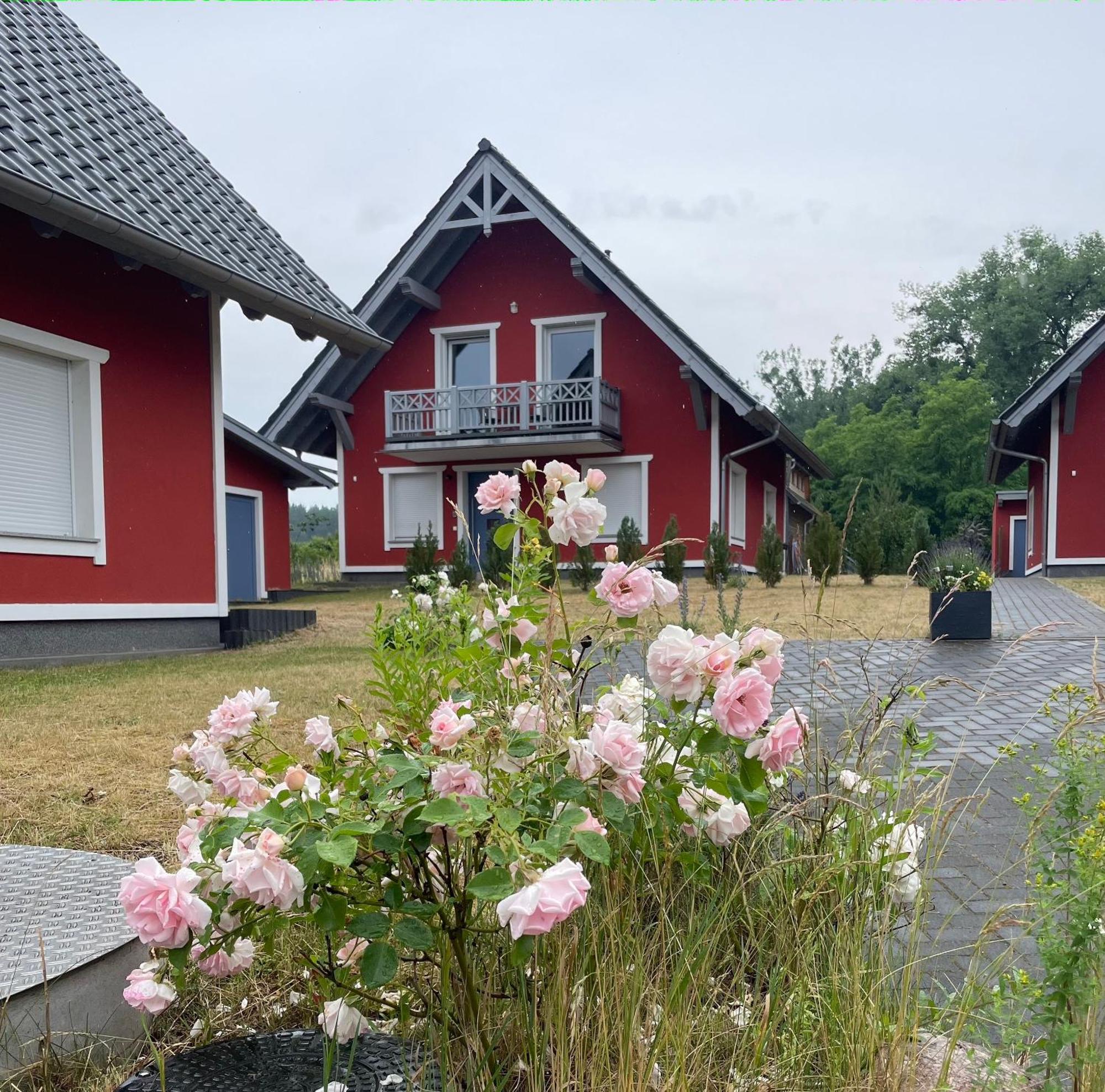Urlaub Am Plaetlinsee - Haus Odin Wustrow  Esterno foto